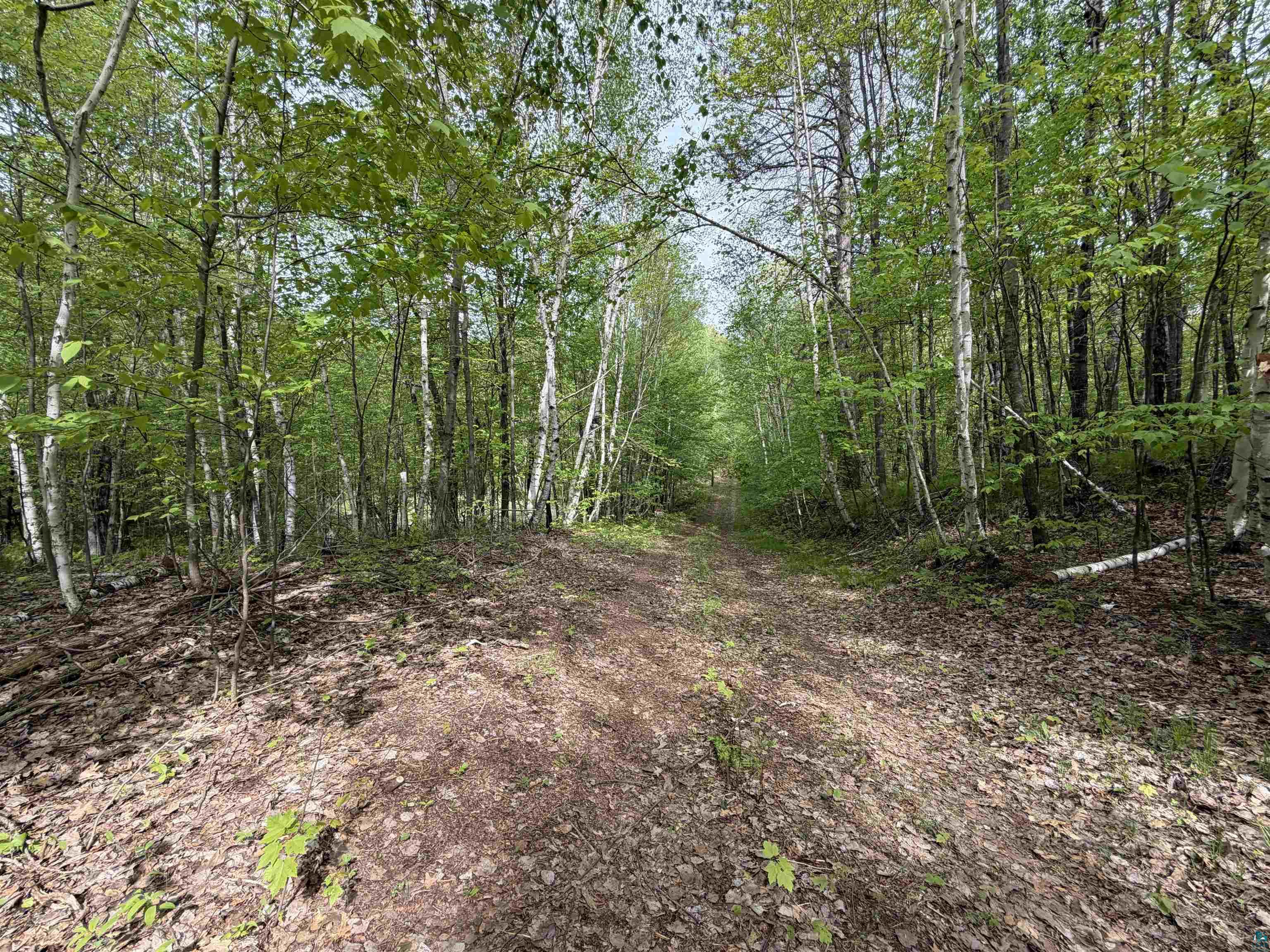 Lot 4 Peterson Road Minong, WI 54859 - Photo 4 of 7