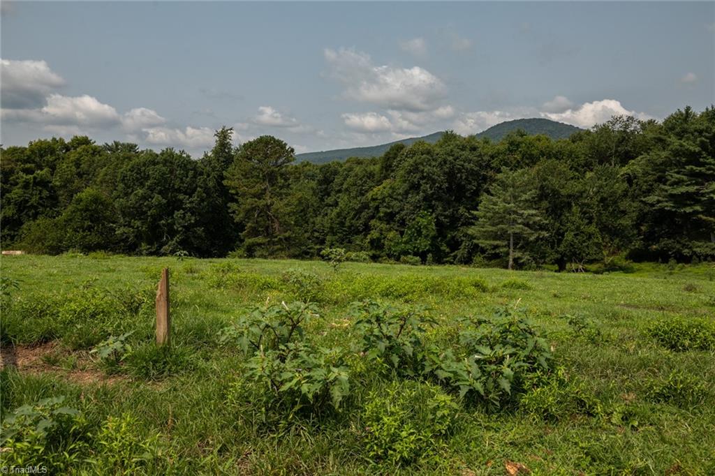 Tbd Caudill Road Glade Valley, NC 28627 - Photo 23 of 26 Gallery Image 23