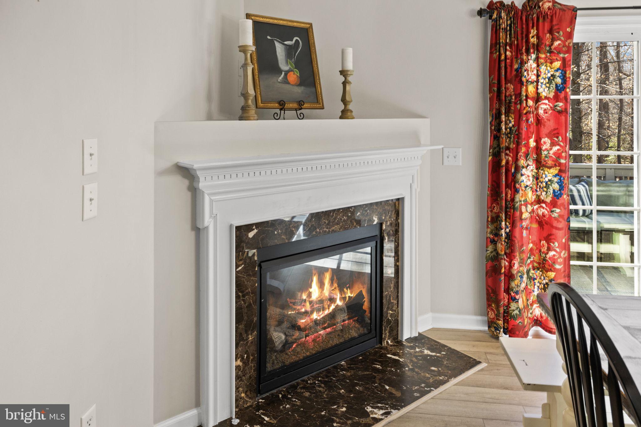 6463 Wheeler Drive King George, VA 22485 - Photo 19 of 57 a view of fireplace with wooden floor