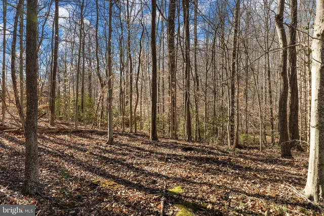 a house view with a lake view