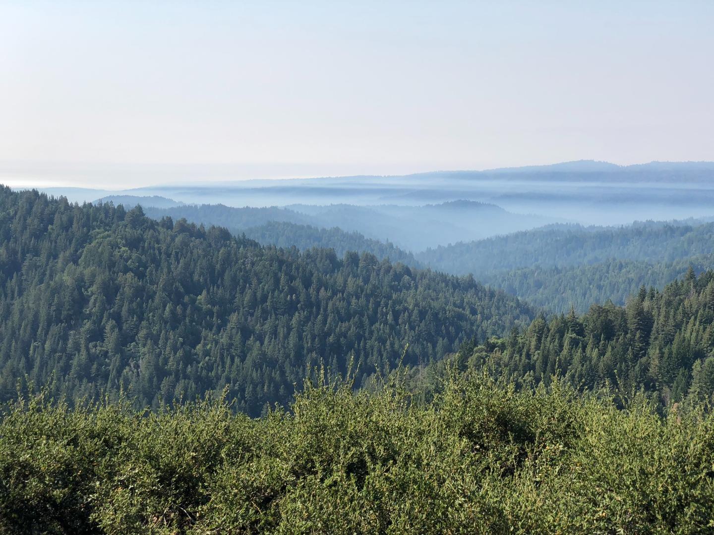18800 Favre Ridge Road Los Gatos, CA 95033 - Photo 42 of 46