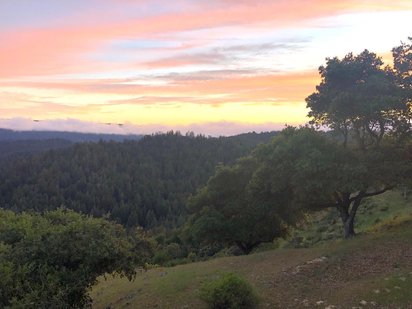 18800 Favre Ridge Road Los Gatos, CA 95033 - Photo 5 of 46