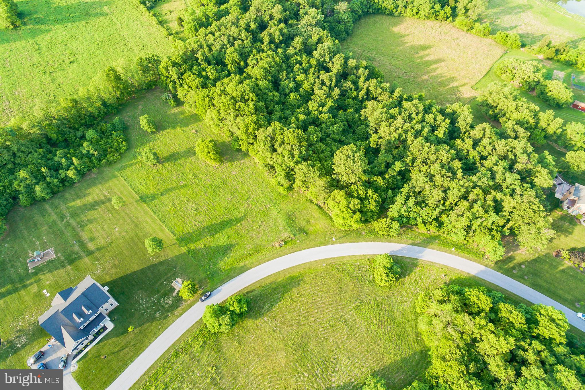 8313 Prophet Acres Road Fairplay, MD 21733 - Photo 8 of 21 Exterior (General)