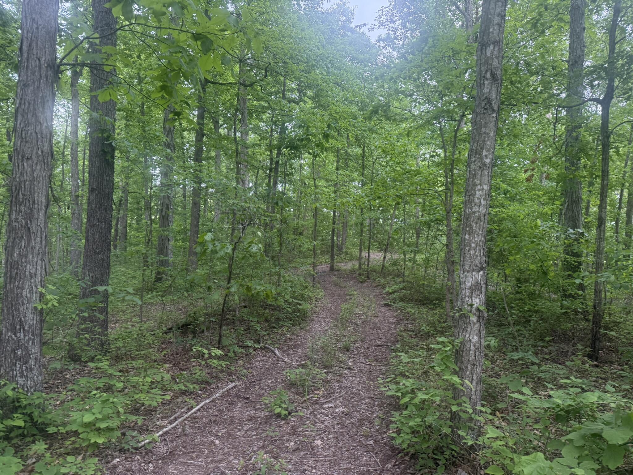 169 Greasy Ridge Sandy Hook, KY 41171 - Photo 22 of 33 IMG_2617