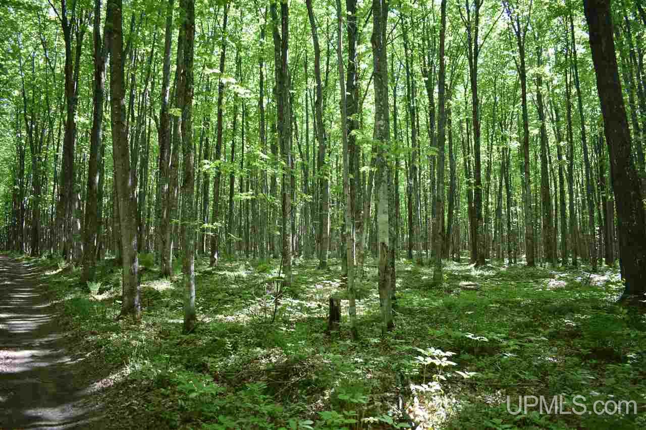 24-acres Co Rd Kb Big Bay, MI 49808 - Photo 20 of 50