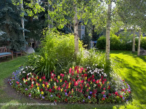 a bunch of flowers are in a garden