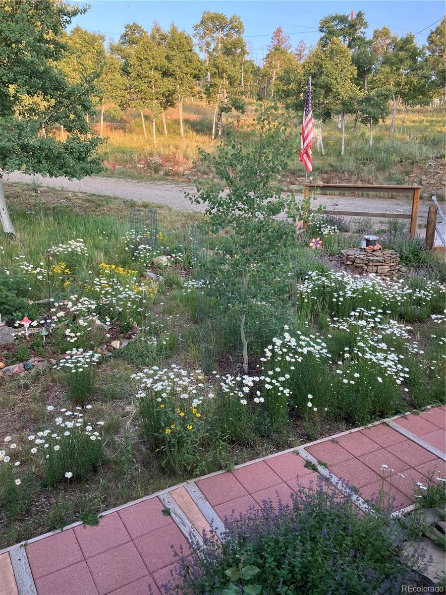821 Blacksmith Road Hartsel, CO 80449 - Photo 47 of 50 a view of a outdoor space
