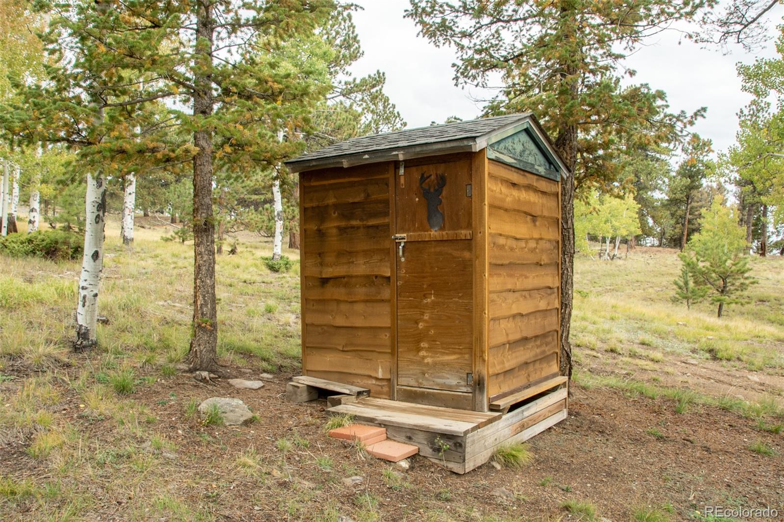 821 Blacksmith Road Hartsel, CO 80449 - Photo 49 of 50 a backyard of a house