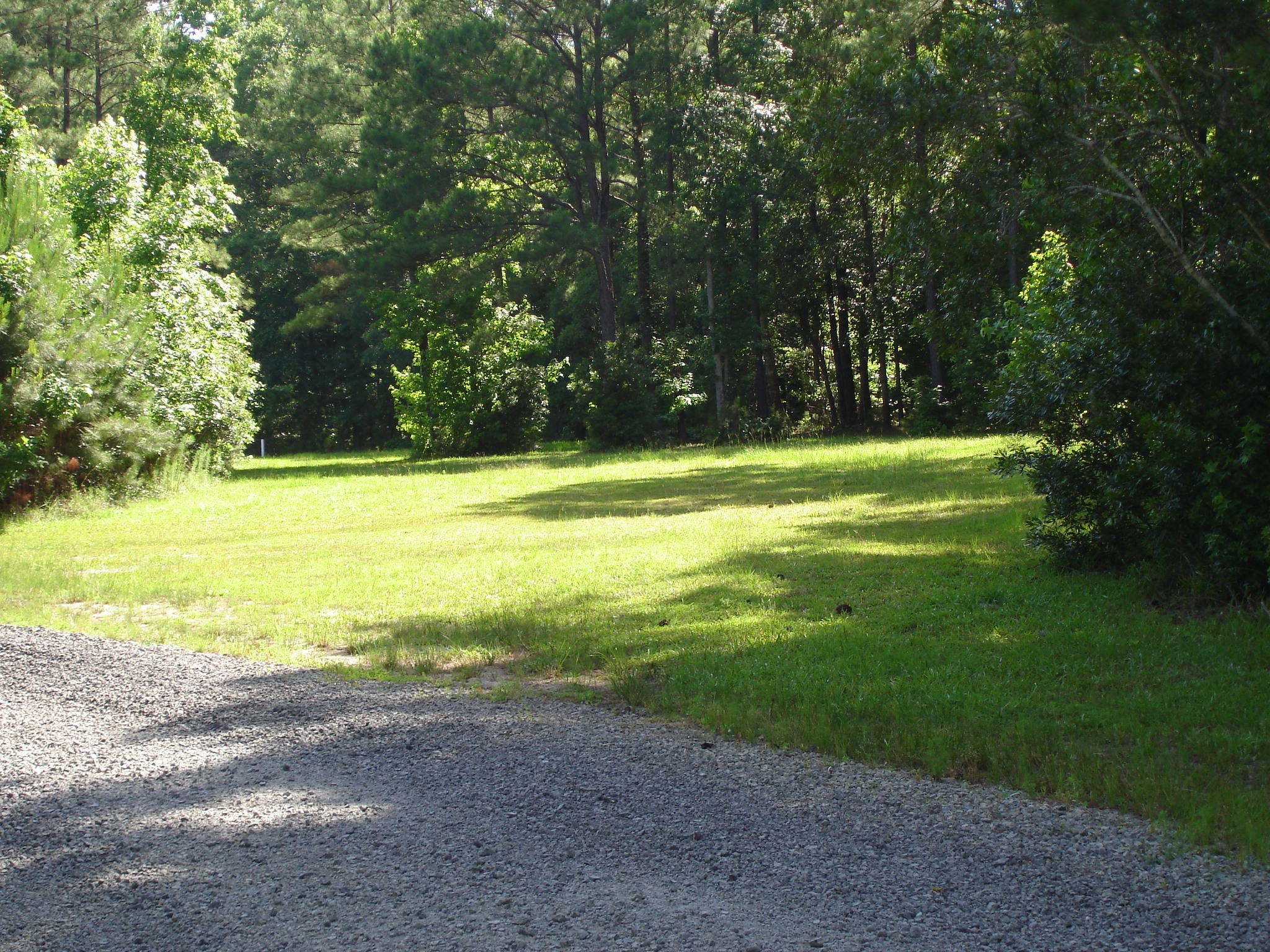 5737 Golden Rice Lane Ravenel, SC 29470 - Photo 1 of 13 Rice Hope lot 19 pictures (2)
