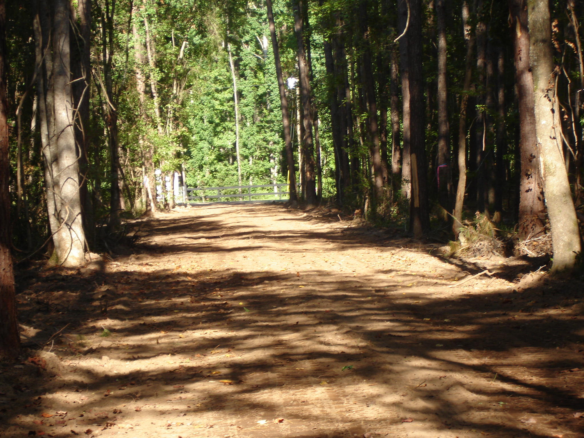 5737 Golden Rice Lane Ravenel, SC 29470 - Photo 12 of 13 rice hope lot 7 (8)