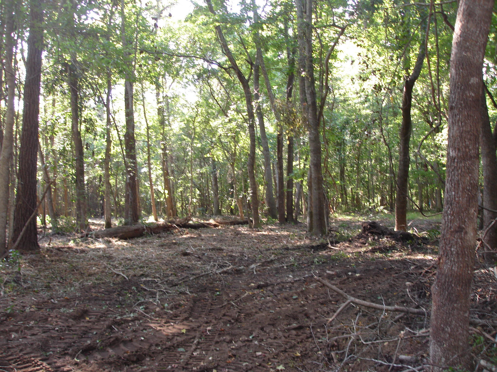 5737 Golden Rice Lane Ravenel, SC 29470 - Photo 6 of 13 rice hope lot 7 (6)