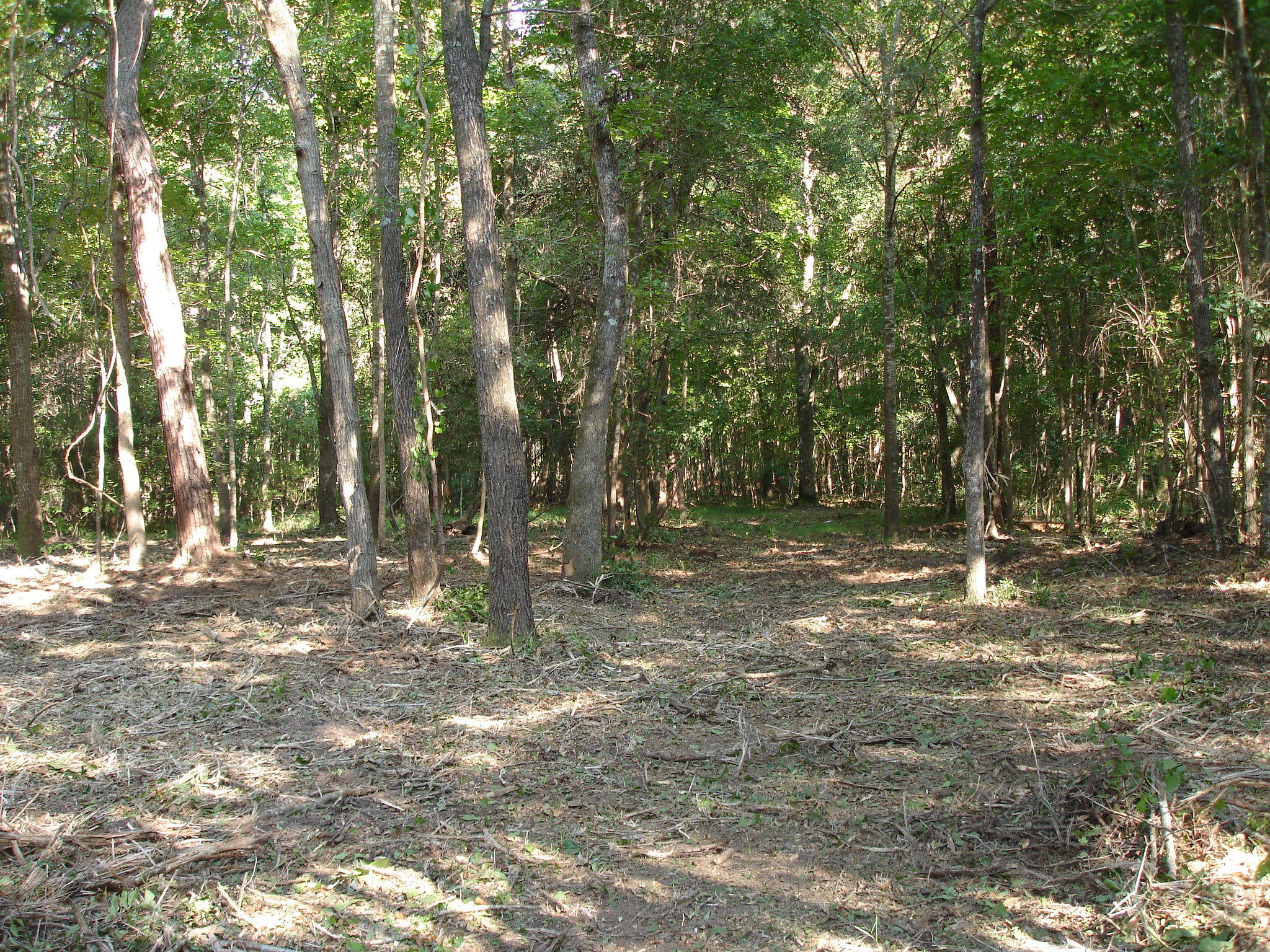 5737 Golden Rice Lane Ravenel, SC 29470 - Photo 9 of 13 rice hope lot 7 (3)