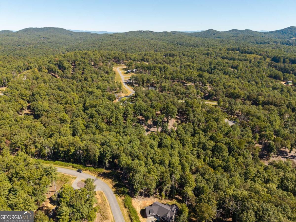 Lot 62 Ridge Drive, Unit 62 Morganton, GA 30560 - Photo 15 of 17 Gallery Image 15