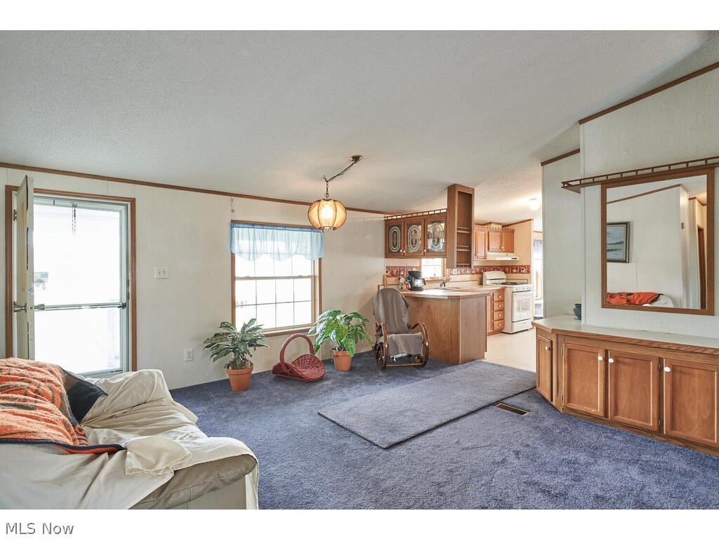 2827 McMackin Road Madison, OH 44057 - Photo 11 of 29 Gallery Image 11