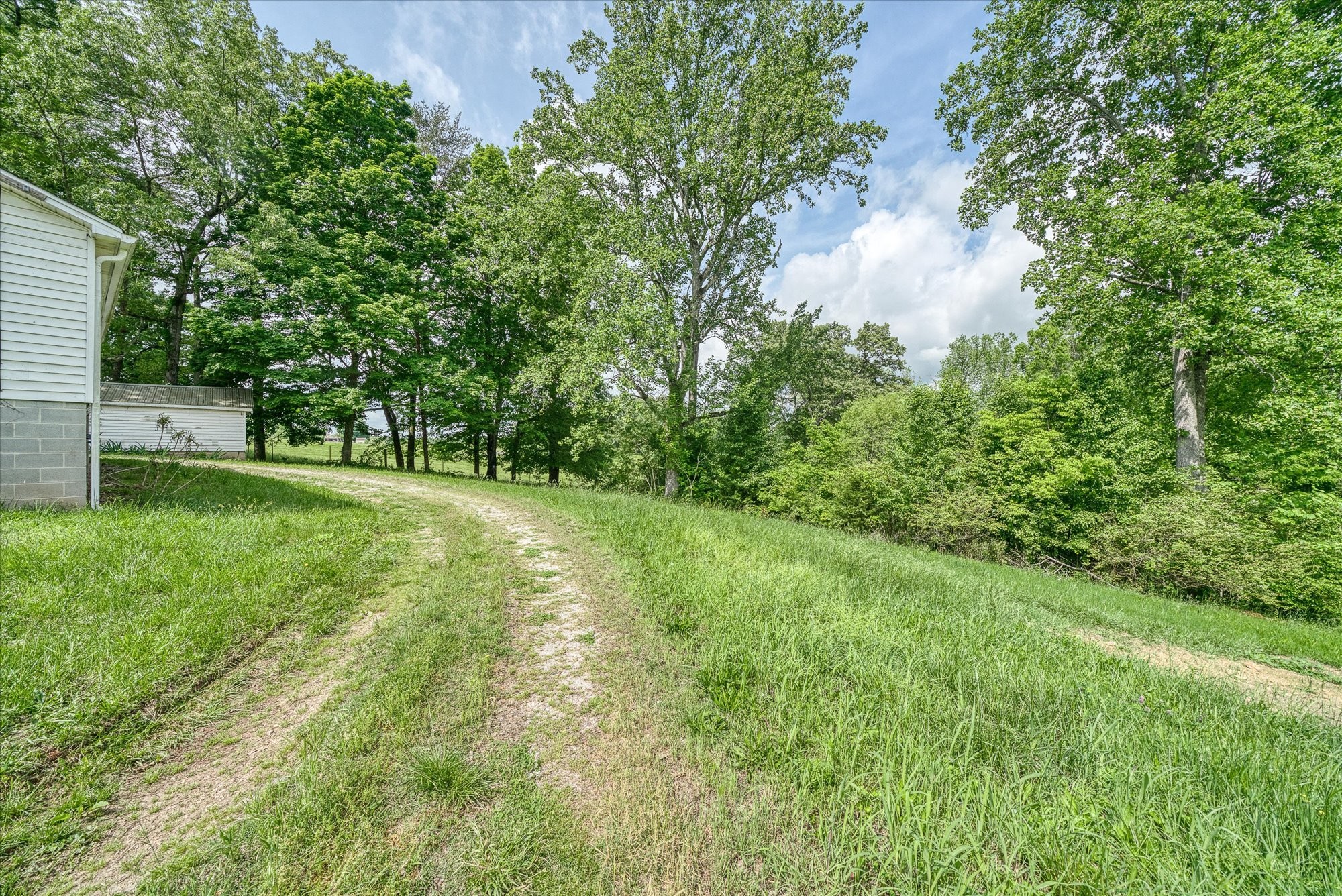 12420 Old Kentucky Road Walling, TN 38587 - Photo 8 of 34 Gallery Image 8