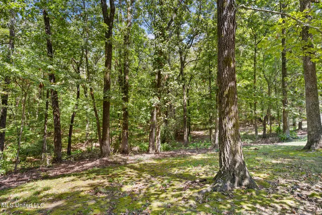 $1,195,000 | 4005 Pintail Cove, Oxford, MS 38655