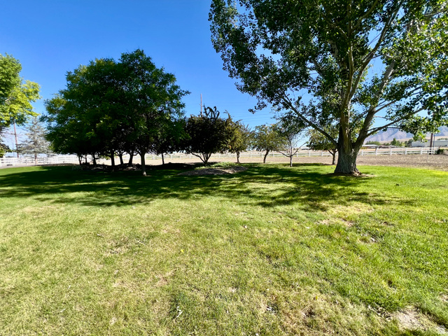 812 East Bates Cyn Road Tooele, UT 84074 - Photo 128 of 144 Expansive lawn featuring mature trees and a distant white fence