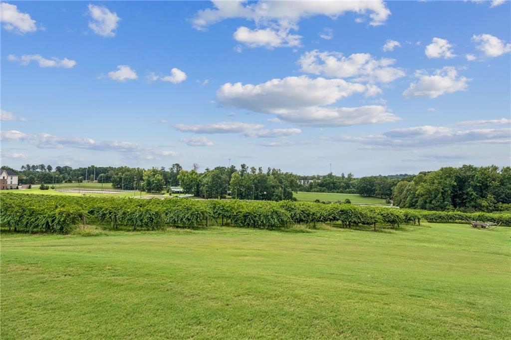 4891 Bill Cheek Road Auburn, GA 30011 - Photo 95 of 99 a view of a golf course with a lake