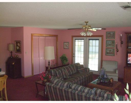 335 Branch Street Ponchatoula, LA 70454 - Photo 7 of 12