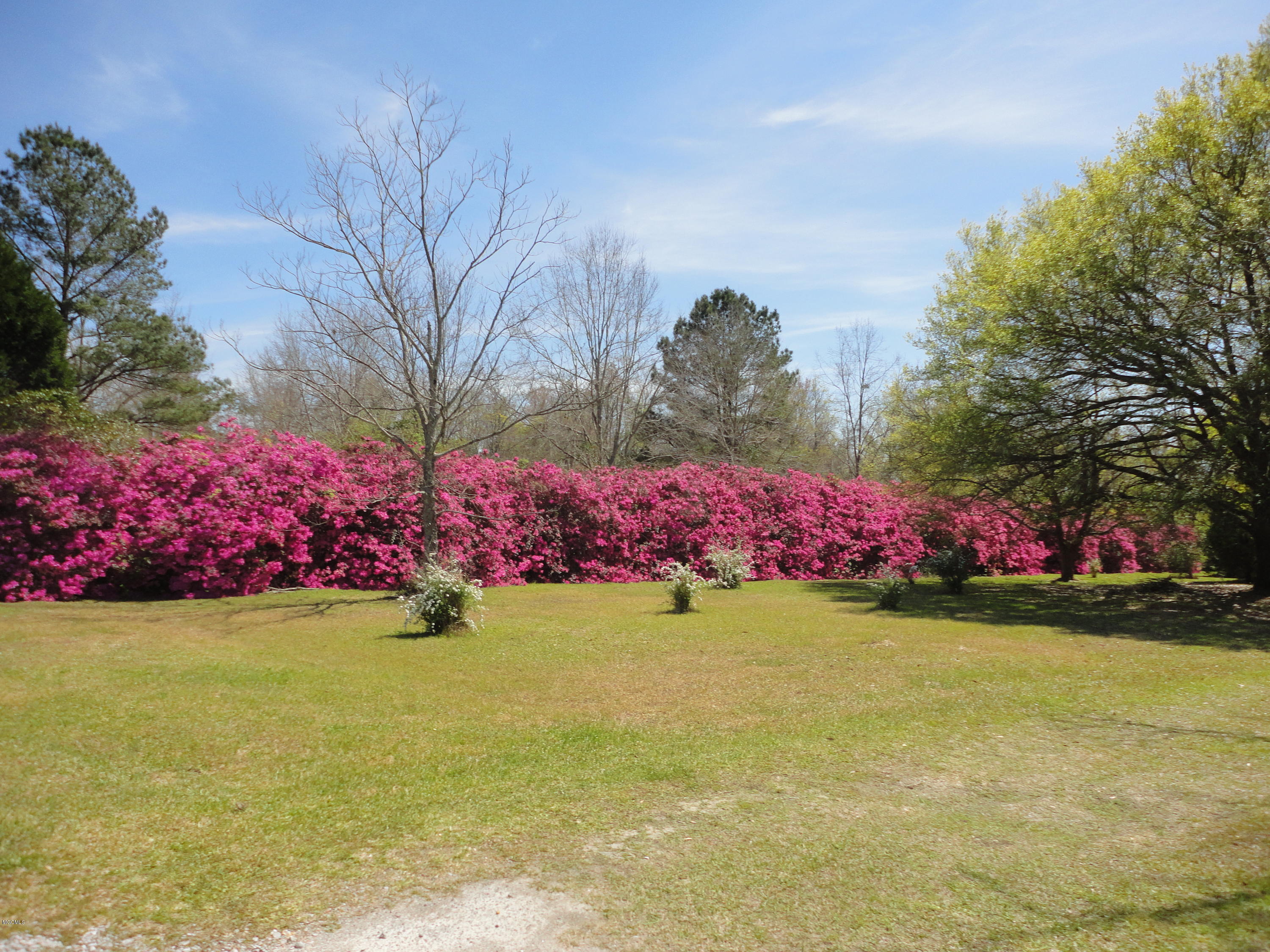 8132 James Pierce Road Moss Point, MS 39562 - Photo 5 of 38 DSC04251
