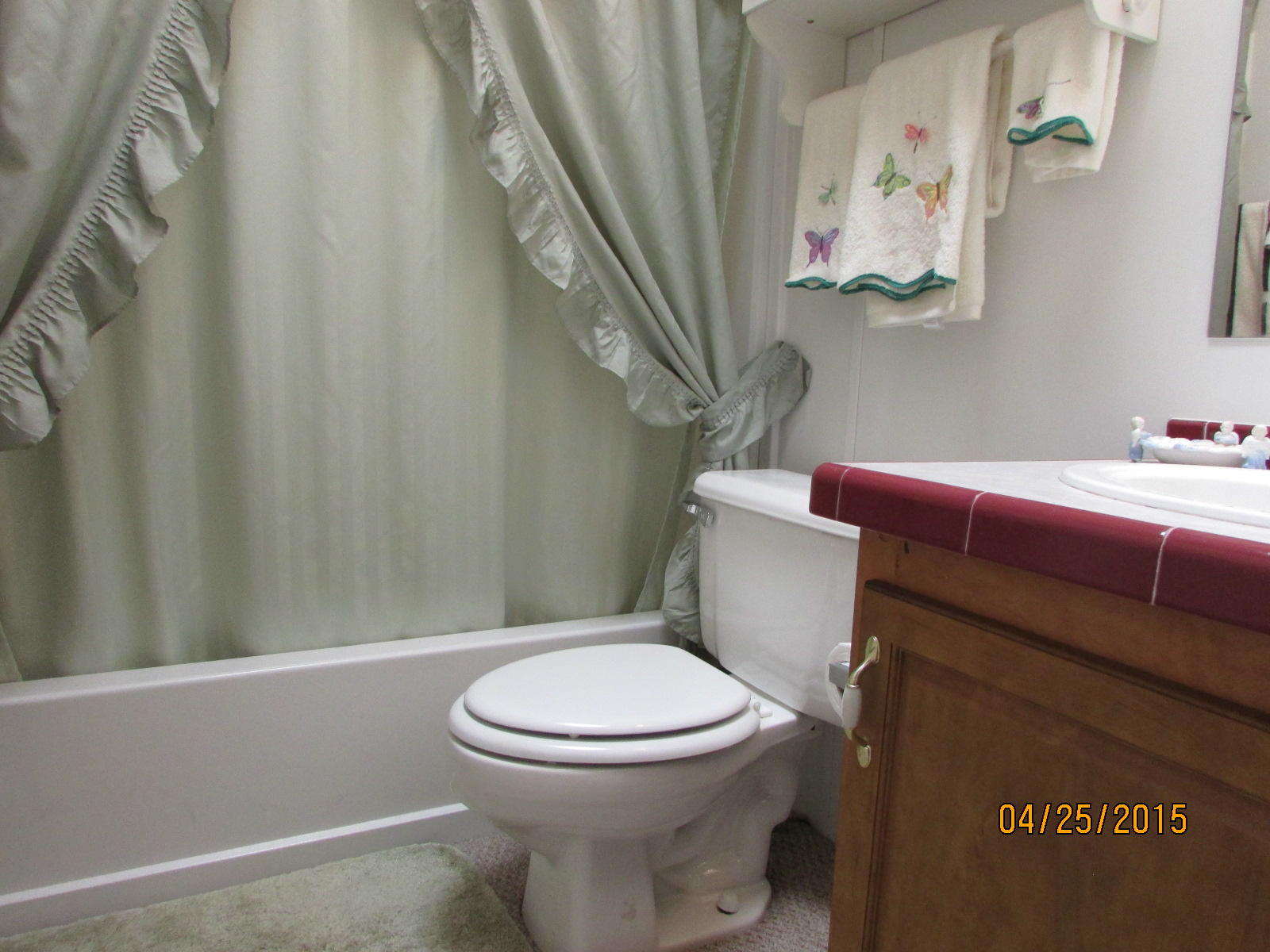 1005 Ridgeview Road Maryville, TN 37801 - Photo 22 of 33 098