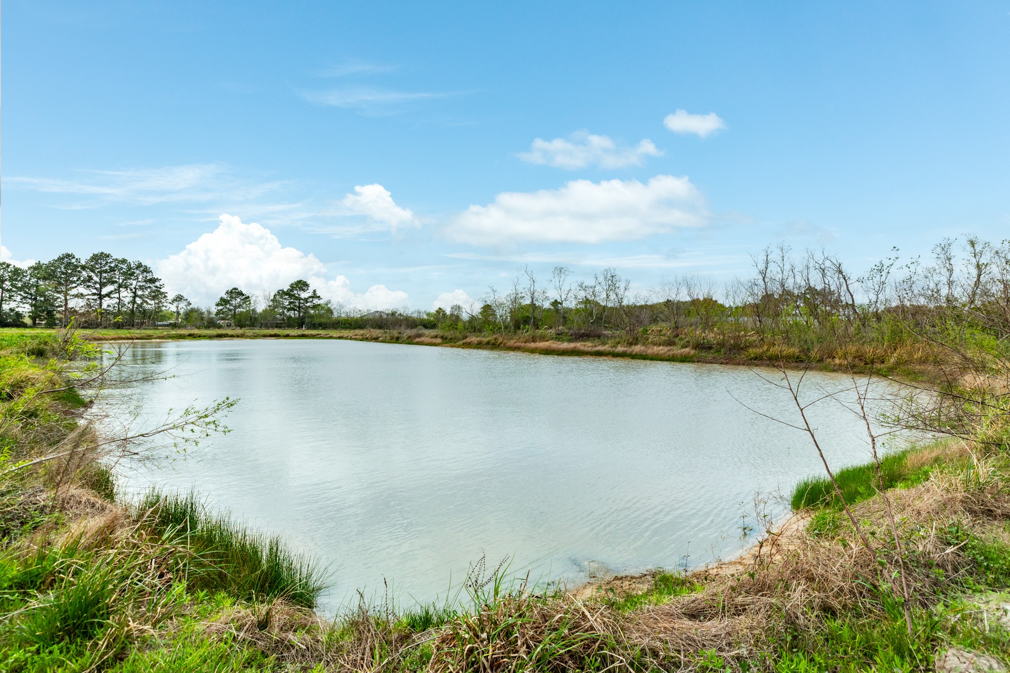 31 County Road 533 Angleton, TX 77515 - Photo 12 of 12