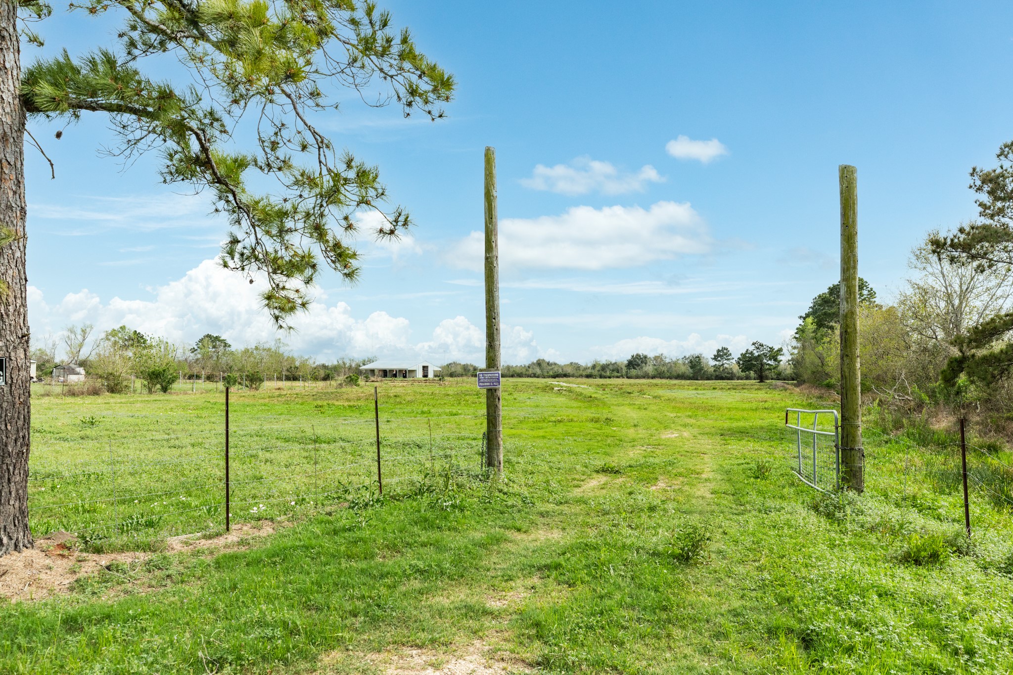 31 County Road 533 Angleton, TX 77515 - Photo 7 of 12