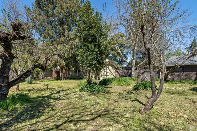 a backyard of a house with lots of green space