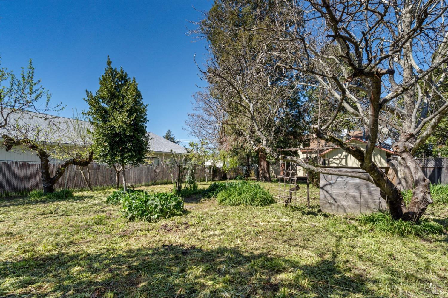 161 Cherry Street Ukiah, CA 95482 - Photo 36 of 39 a backyard of a house with lots of green space