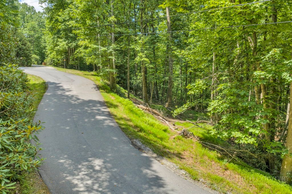 11-14 Powder Horn Mountain Road Deep Gap, NC 28618 - Photo 23 of 38