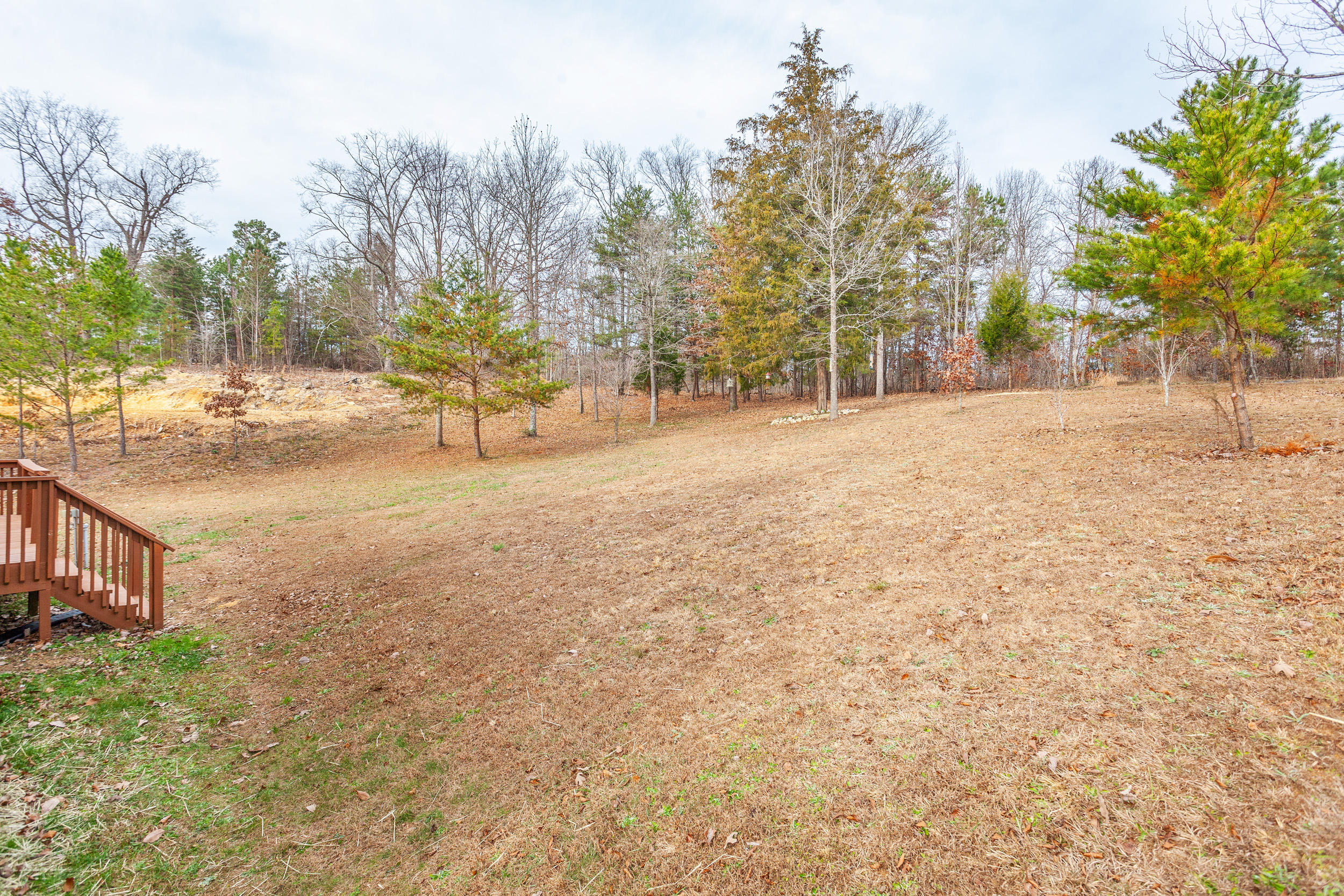 422 William Way Cleveland, TN 37323 - Photo 11 of 13 422 Williams_Back Yard 2_Choice Homes