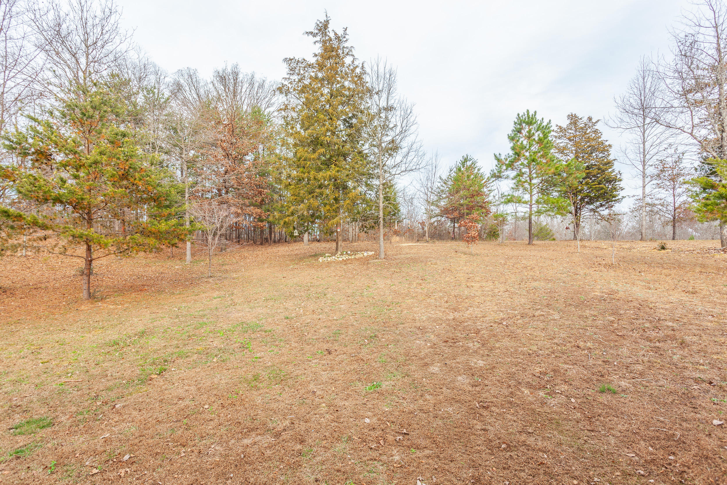 422 William Way Cleveland, TN 37323 - Photo 12 of 13 422 Williams_Back Yard_Choice Homes