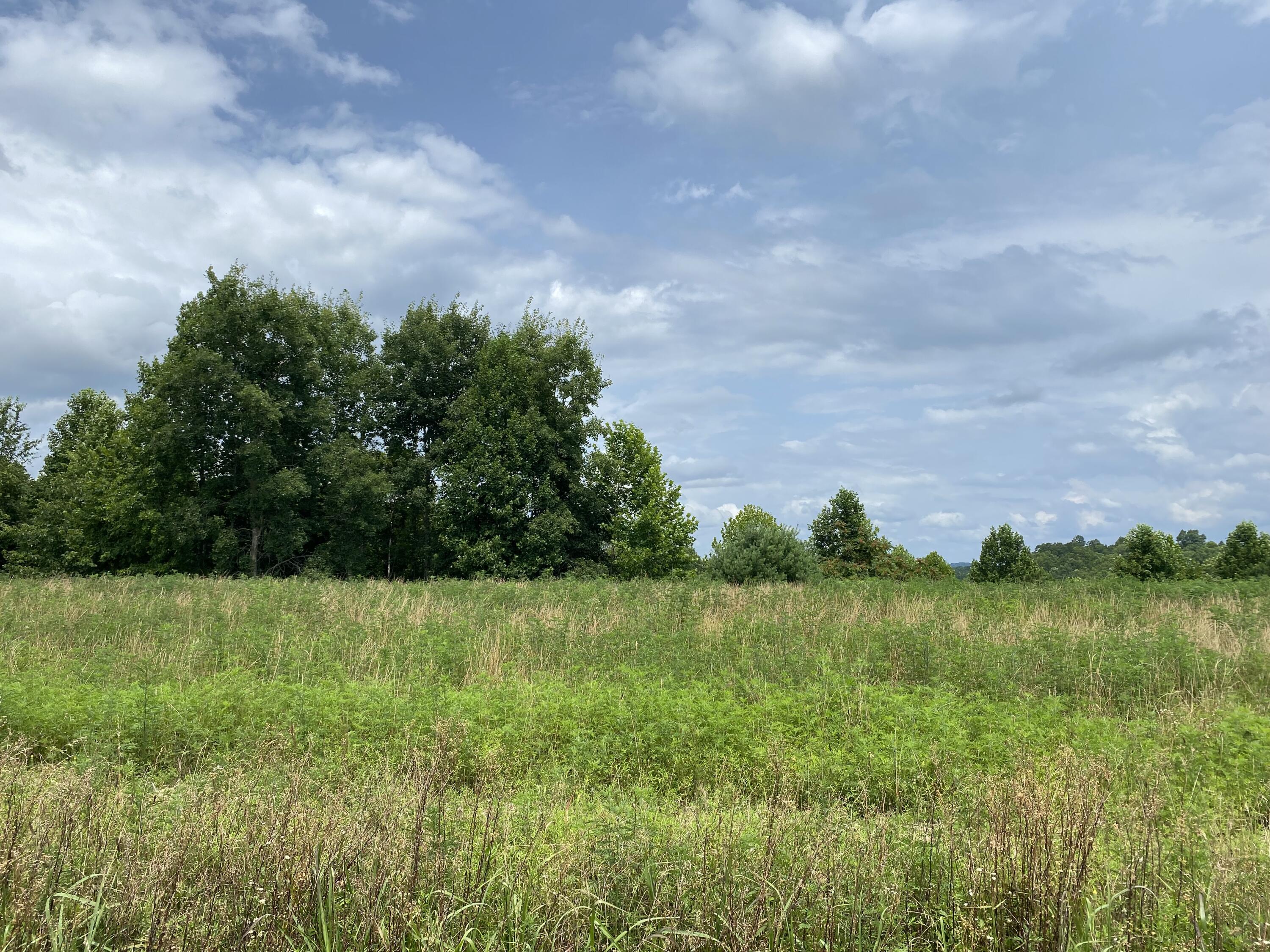5 Adkins-Arthur Road Somerset, KY 42501 - Photo 8 of 11 IMG_0420