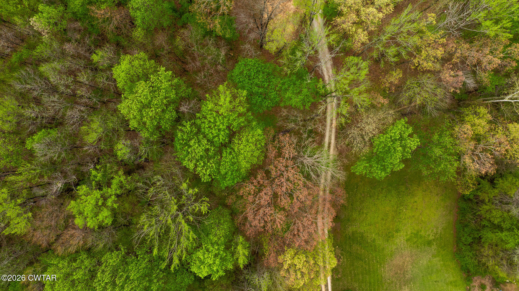 4080 Beech Bluff Road Beech Bluff, TN 38313 - Photo 11 of 80 DJI_20260402112139_0011_D