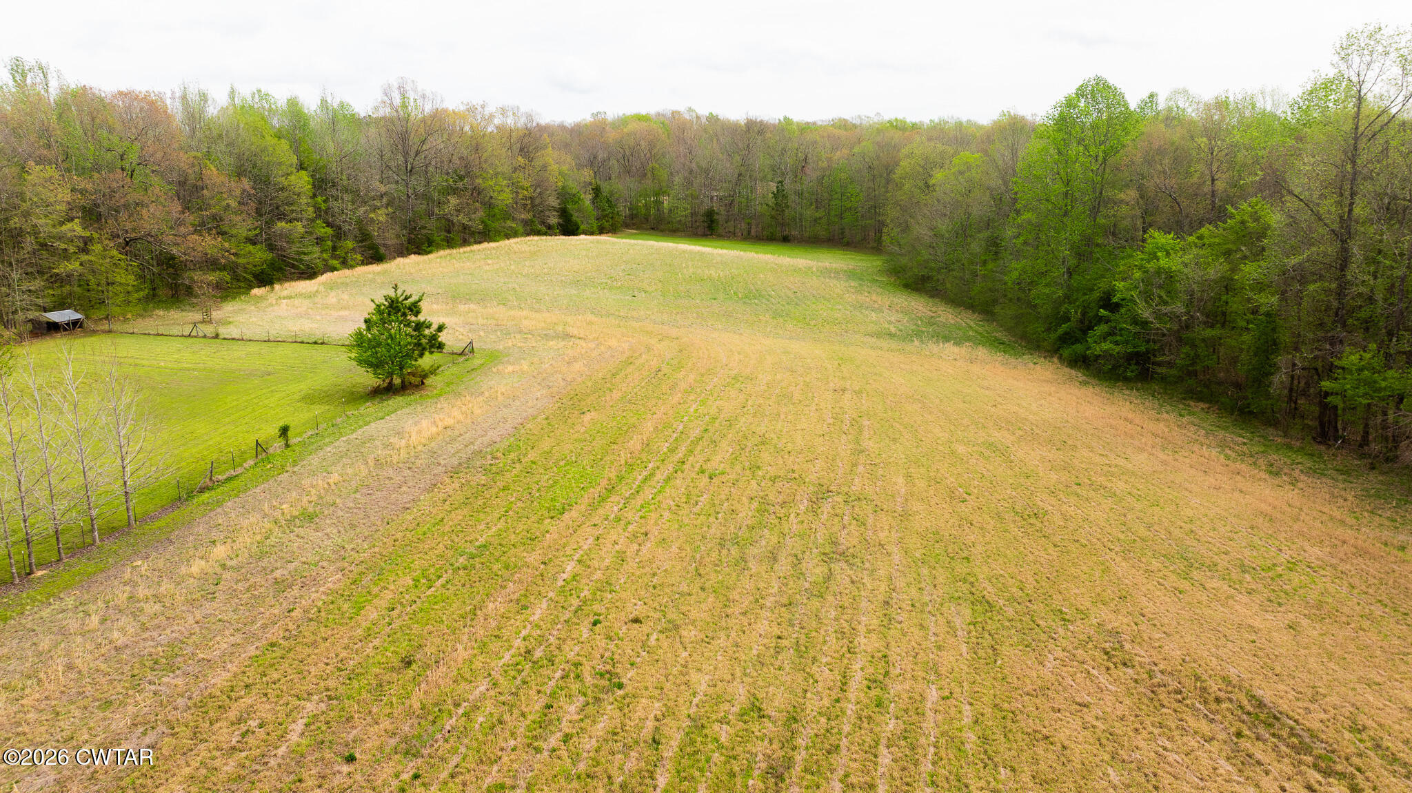 4080 Beech Bluff Road Beech Bluff, TN 38313 - Photo 14 of 80 DJI_20260402112309_0014_D
