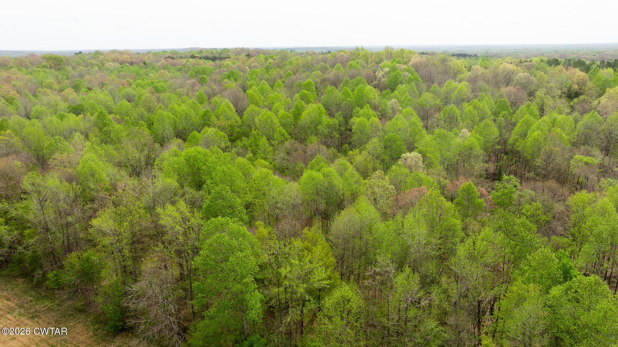 4080 Beech Bluff Road Beech Bluff, TN 38313 - Photo 18 of 80 DJI_20260402112423_0018_D