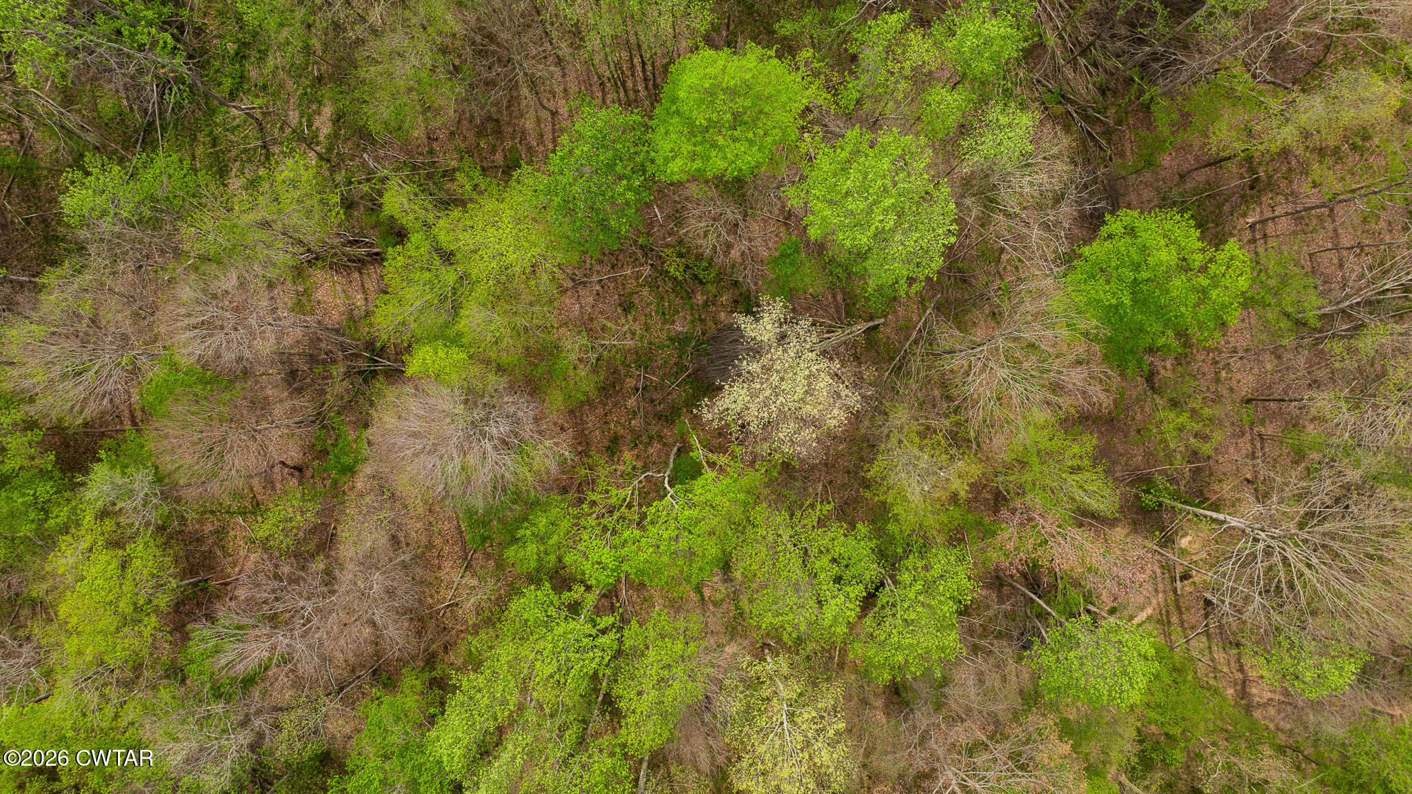 4080 Beech Bluff Road Beech Bluff, TN 38313 - Photo 19 of 80 DJI_20260402112438_0019_D