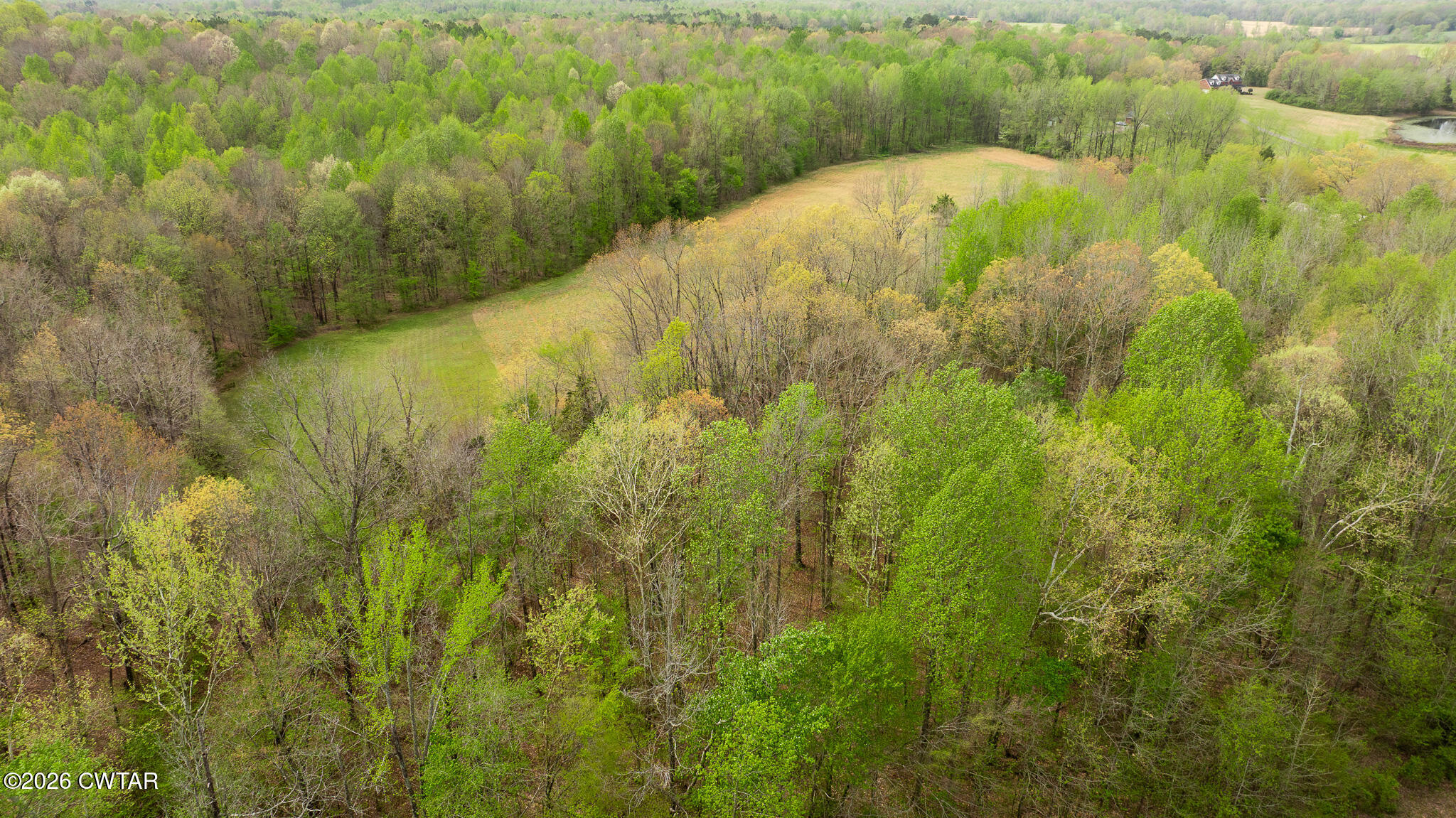 4080 Beech Bluff Road Beech Bluff, TN 38313 - Photo 23 of 80 DJI_20260402112843_0023_D