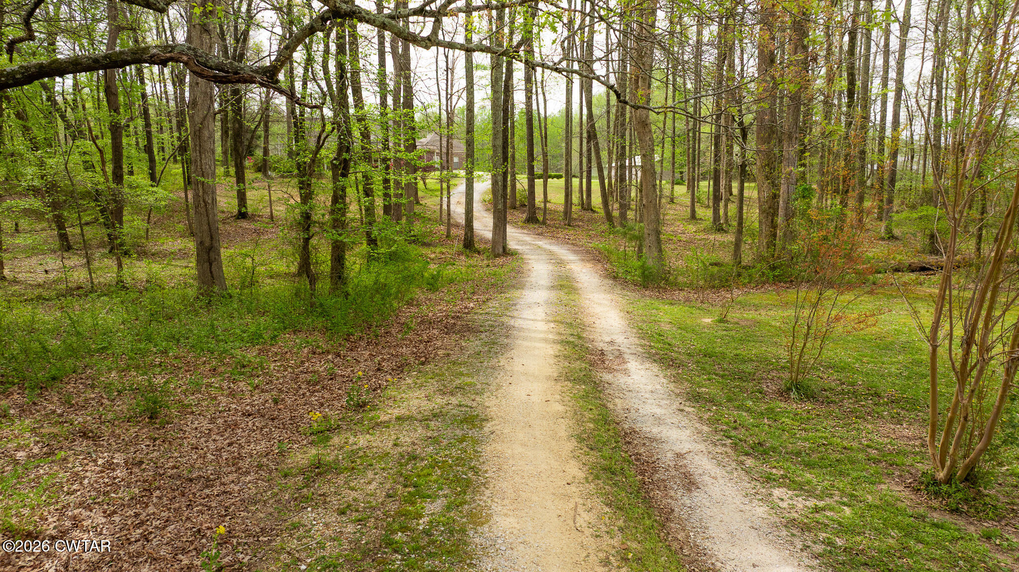 4080 Beech Bluff Road Beech Bluff, TN 38313 - Photo 27 of 80 DJI_20260402113014_0027_D