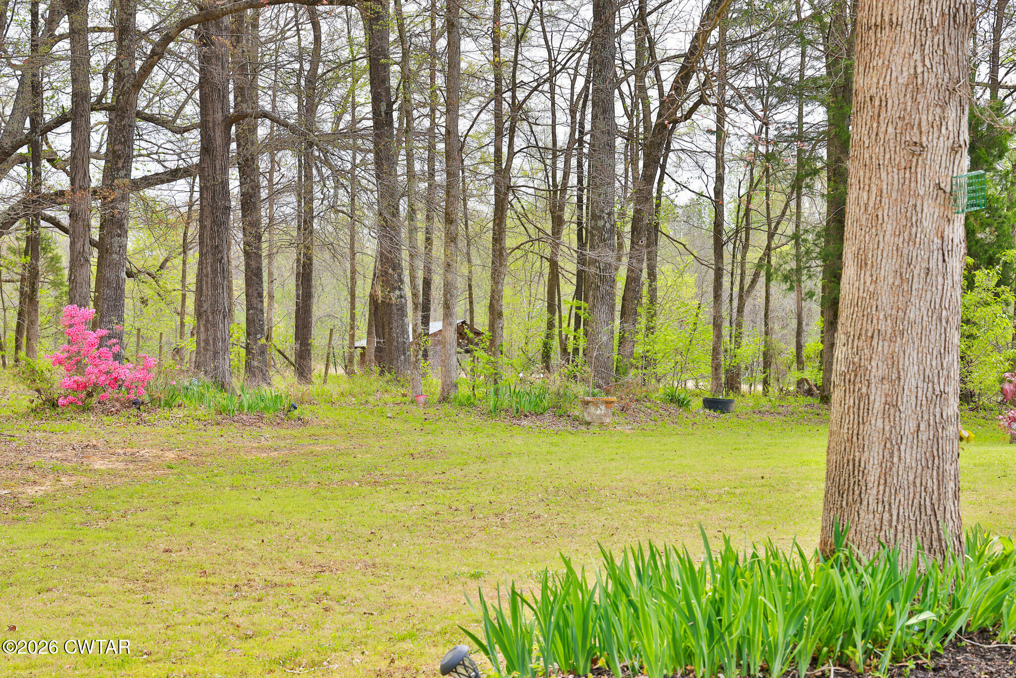 4080 Beech Bluff Road Beech Bluff, TN 38313 - Photo 36 of 80 FT8A3357