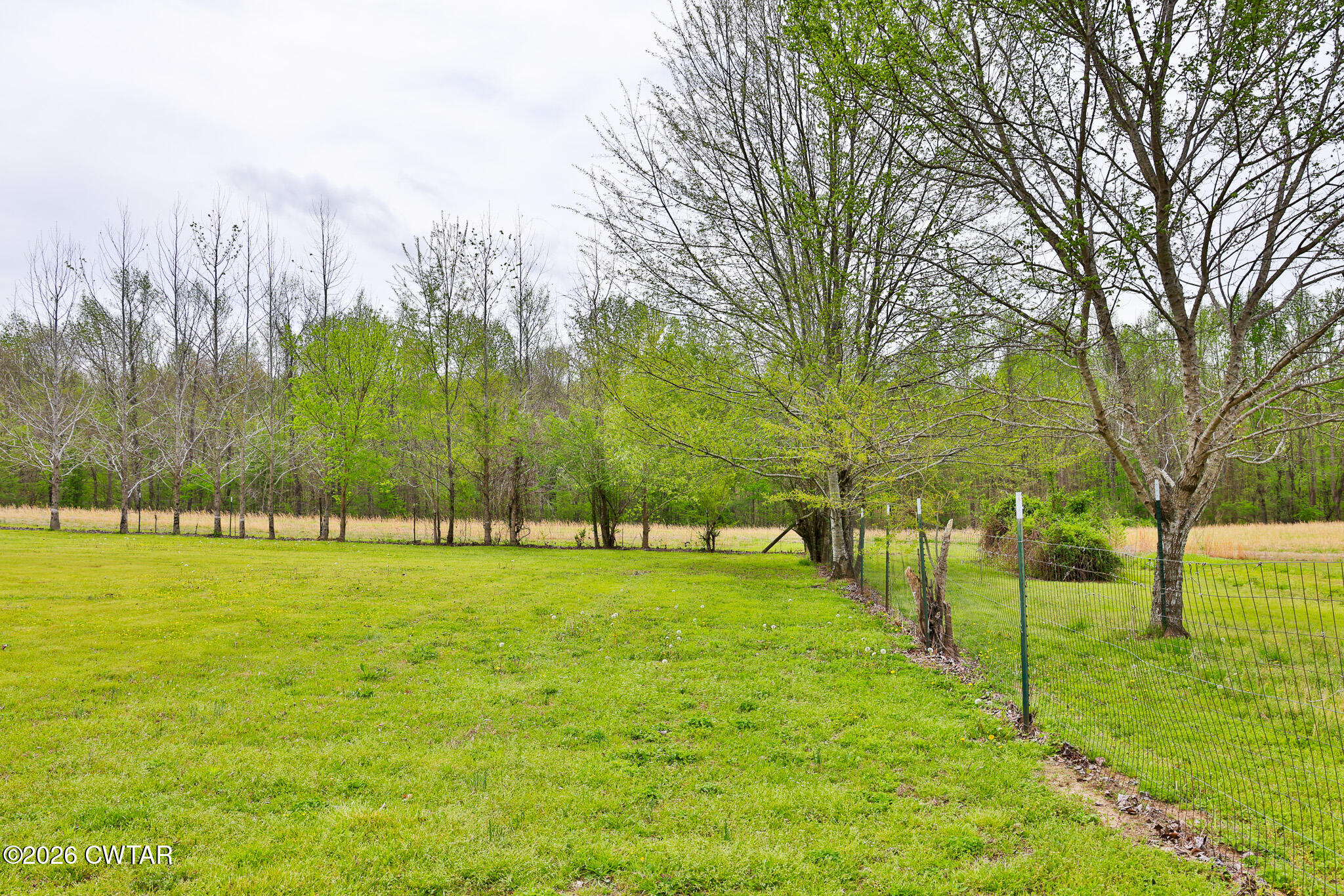 4080 Beech Bluff Road Beech Bluff, TN 38313 - Photo 45 of 80 FT8A3367