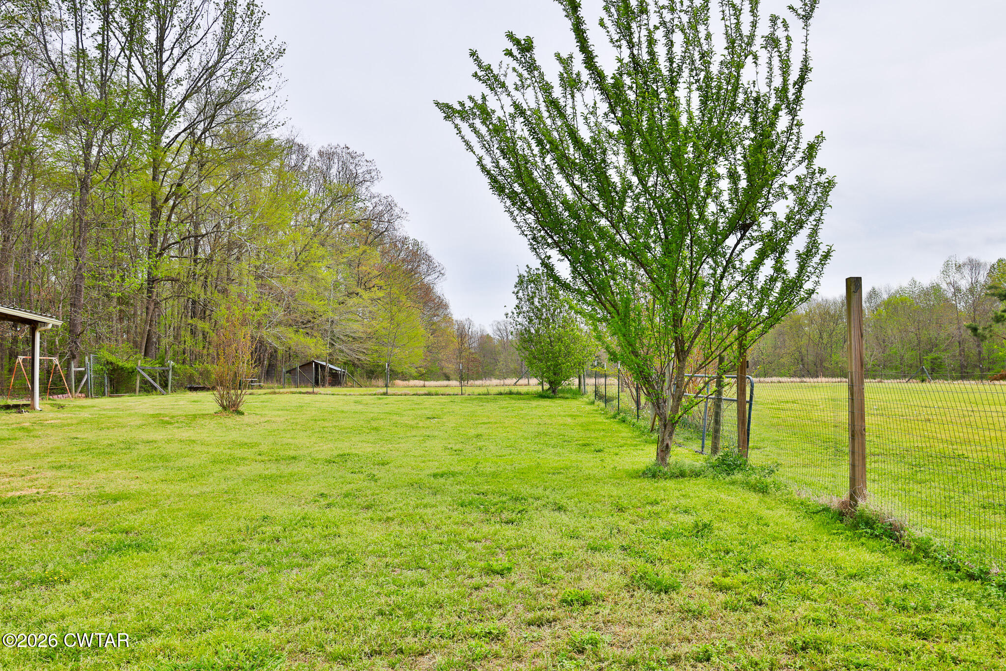 4080 Beech Bluff Road Beech Bluff, TN 38313 - Photo 47 of 80 FT8A3370