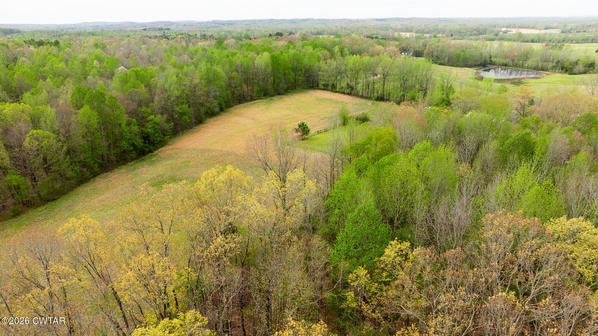 4080 Beech Bluff Road Beech Bluff, TN 38313 - Photo 9 of 80 DJI_20260402112108_0009_D