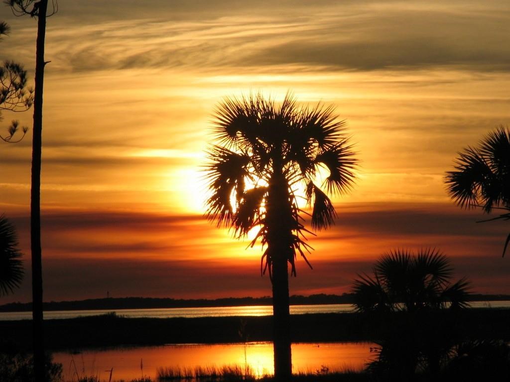 129 Shallow Reed Dr Port Street Port St. Joe, FL 32456 - Photo 33 of 34