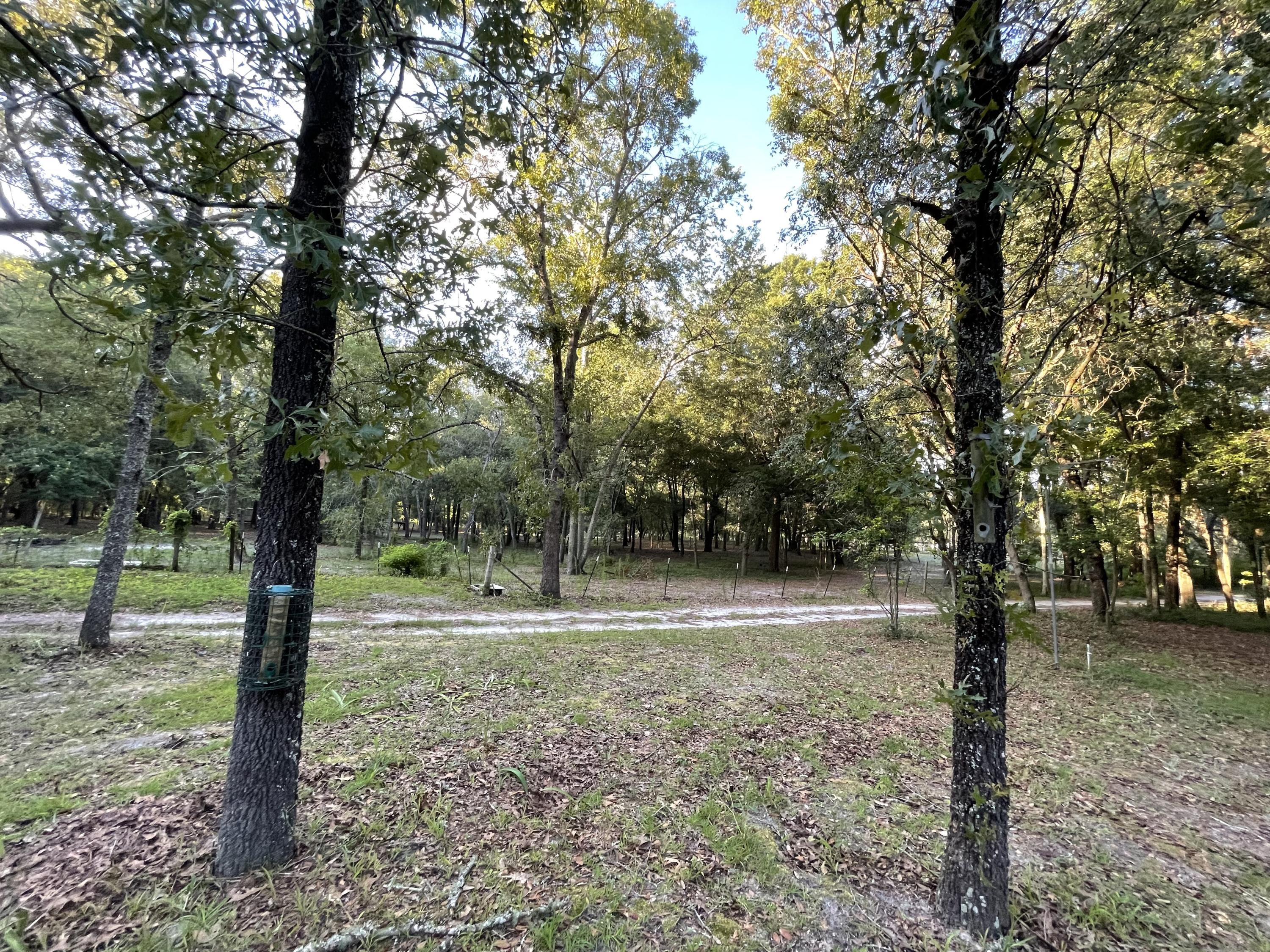 19881 33rd Road Wellborn, FL 32094 - Photo 3 of 5 4 ACRES FULLY FENCED