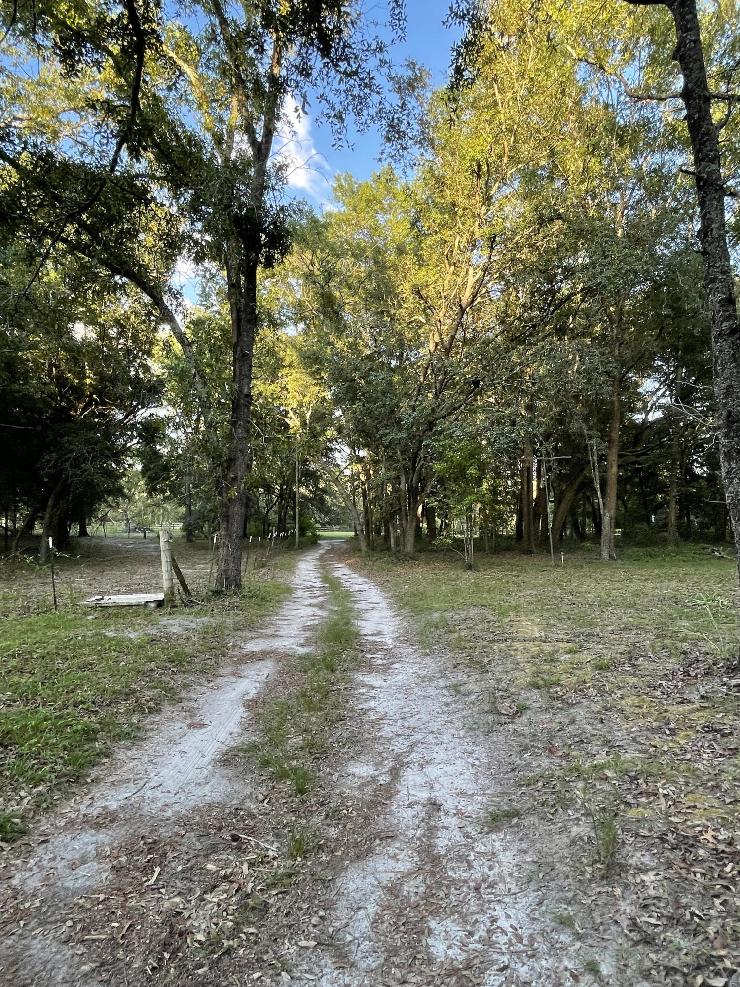19881 33rd Road Wellborn, FL 32094 - Photo 4 of 5 DRIVEWAY ALL AROUND PROPERTY