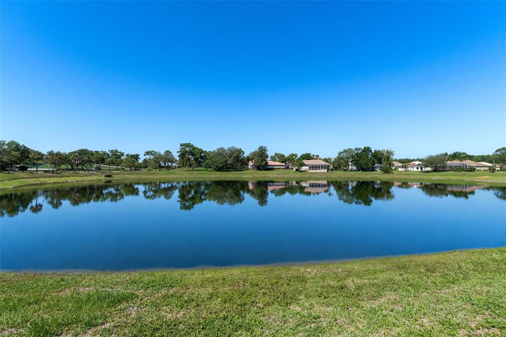 10081 Georgetown Court Weeki Wachee, FL 34613 - Photo 52 of 76