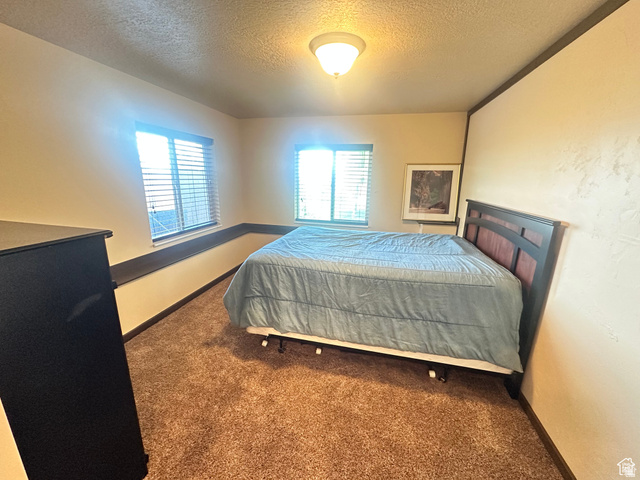 12 Crook Street Fish Haven, ID 83287 - Photo 30 of 35 Bedroom featuring multiple windows, carpet, and a textured ceiling