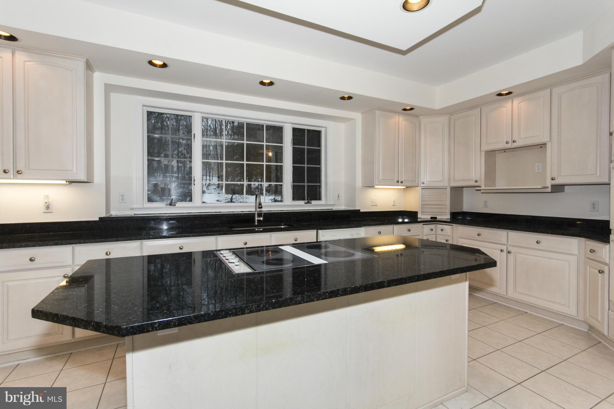 3616 Jackson Cabin Road Phoenix, MD 21131 - Photo 14 of 28 a kitchen with granite countertop a sink and a stove