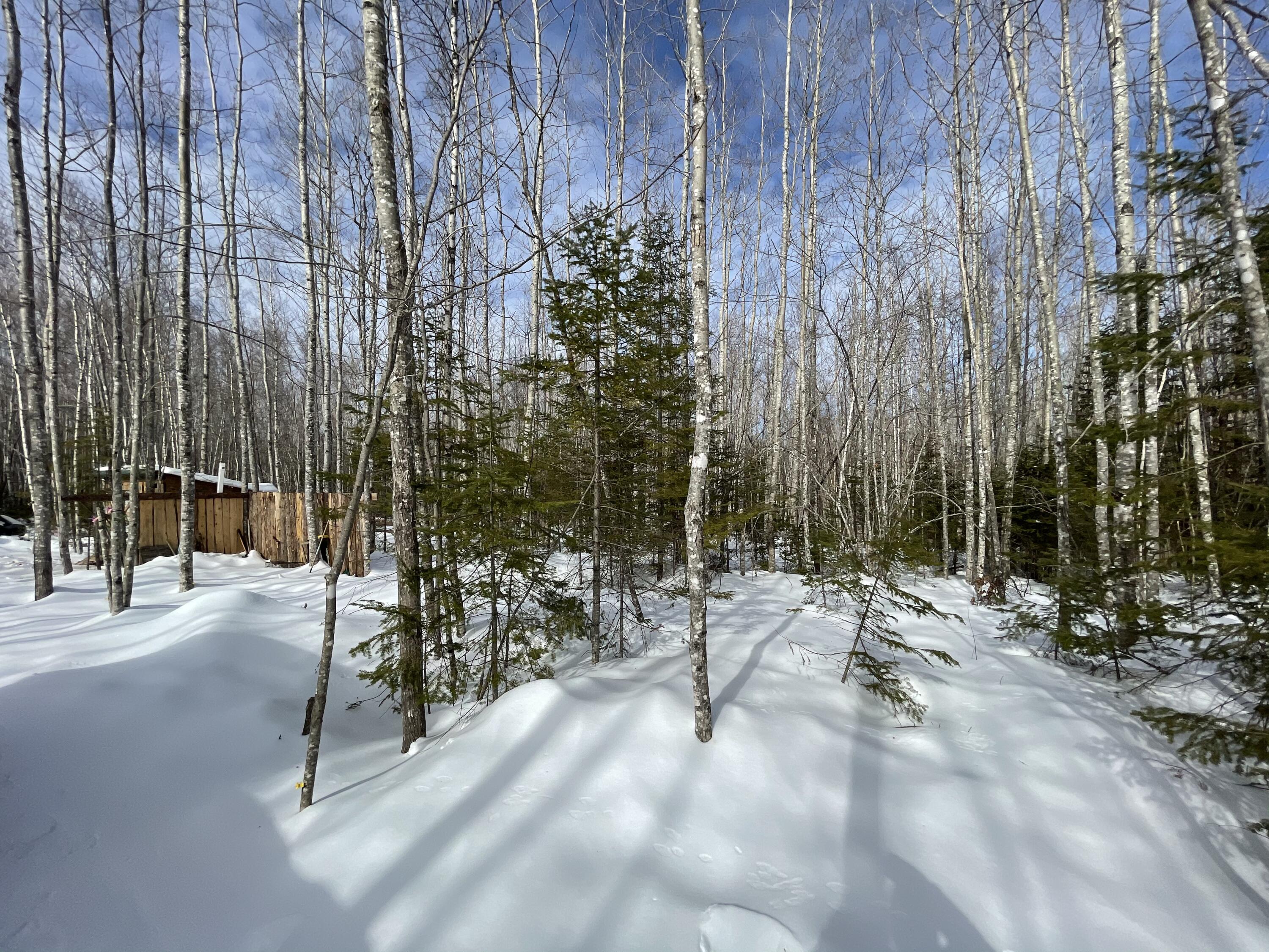 Off Off Tower Road Springfield, ME 04487 - Photo 15 of 15 A042DF78-ACEA-4F4A-B28A-FA2205E9FF45